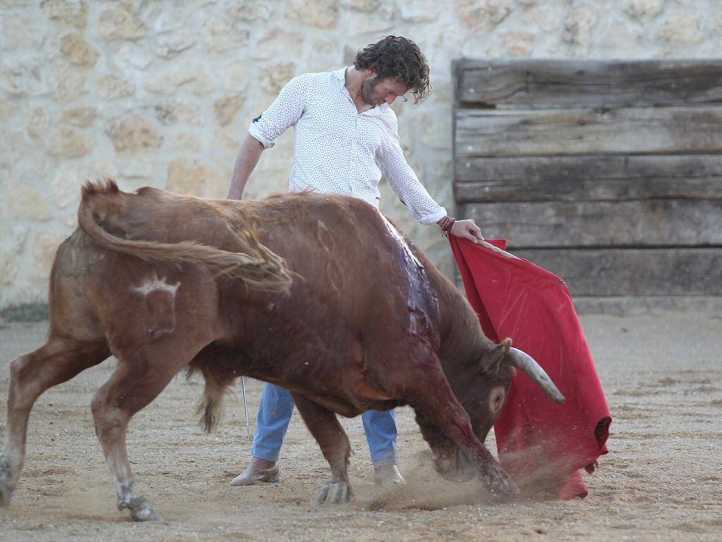 Octavio García El Payo, matador mexicano.