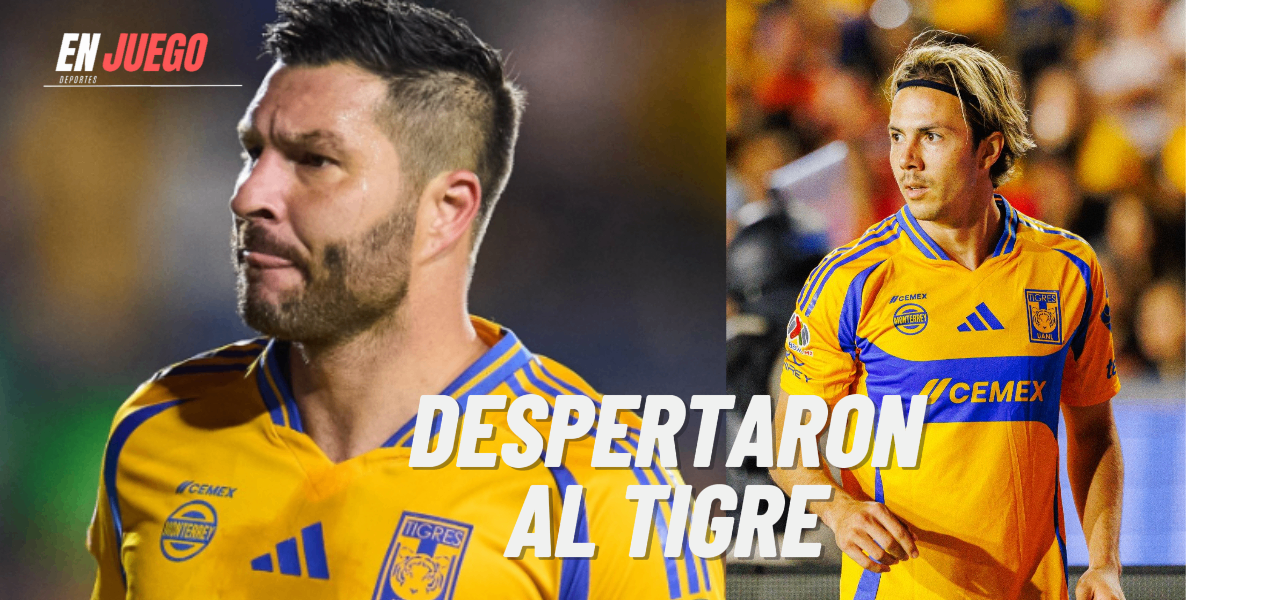 Despertaron al Tigre