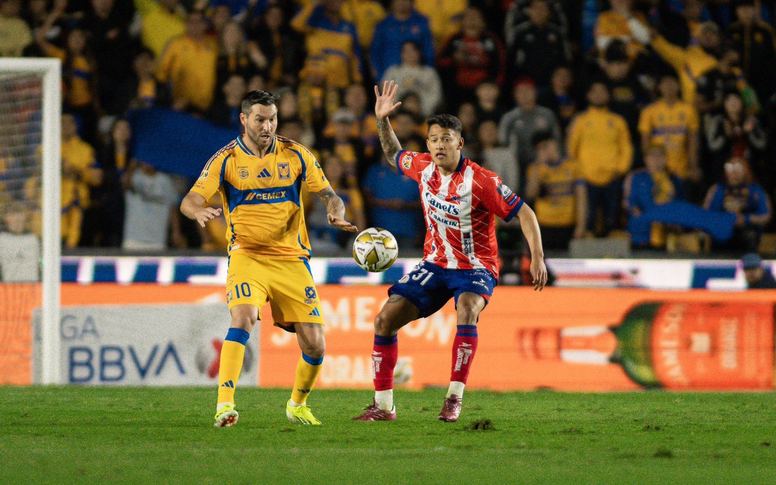 Atlético San Luis semifinalista.